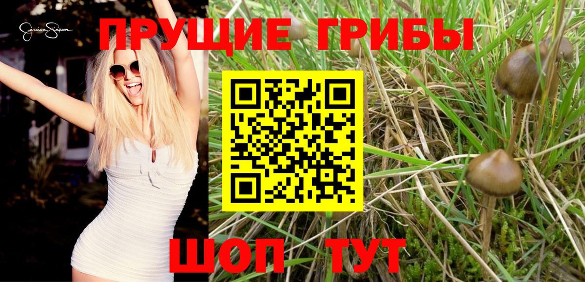 Галлюциногенные грибы прущие грибы Воскресенск