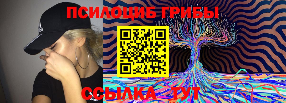 Галлюциногенные грибы MAGIC MUSHROOMS  наркошоп  Вход с VPN  Воскресенск  Галлюциногенные грибы прущие грибы 
